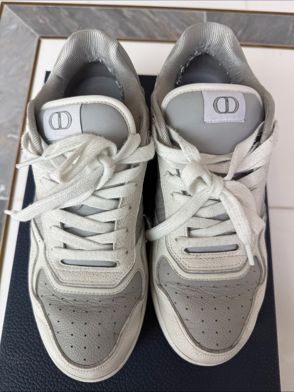 Dior B27 Men's Low-Top Sneakers in Light Gray and white CD icon emblem on tongue